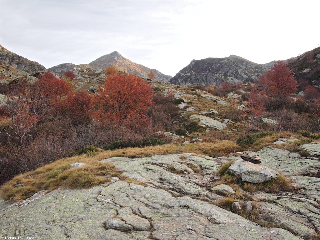 109056-mombarone-autunno-pb013224.jpg