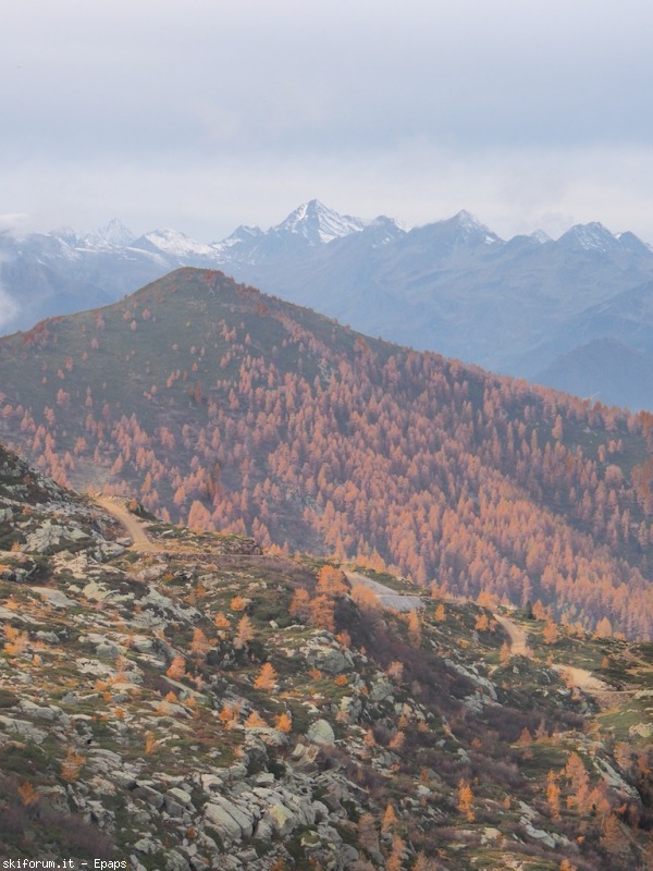 109069-mombarone-autunno-pb013301.jpg