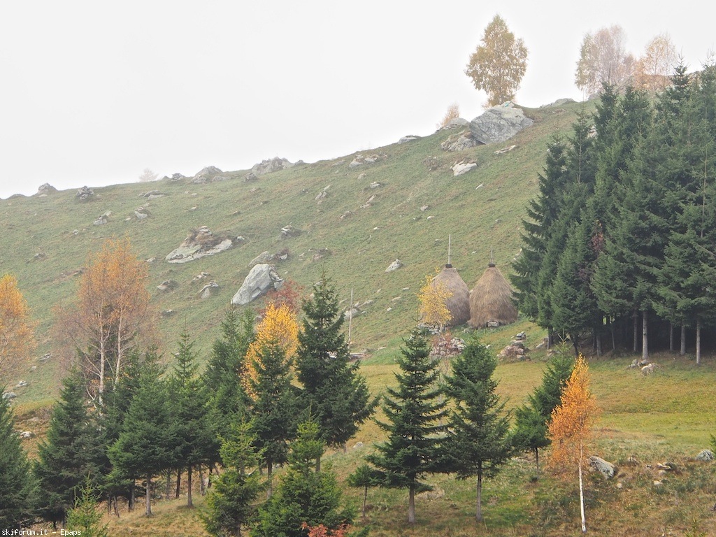 109072-mombarone-autunno-pb013310.jpg