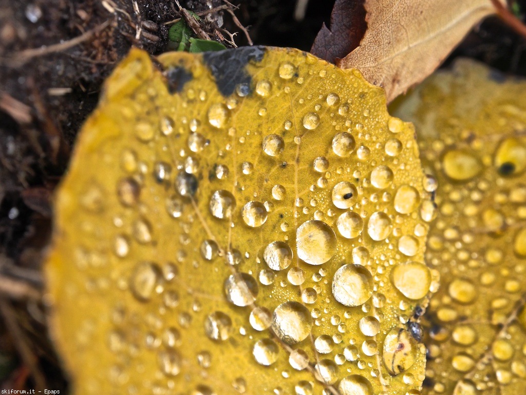 109073-mombarone-autunno-pb013313.jpg