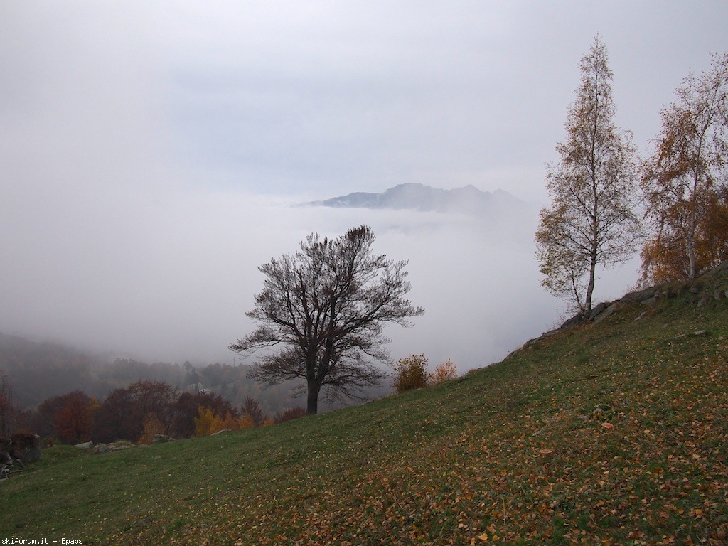 109074-mombarone-autunno-pb013322.jpg