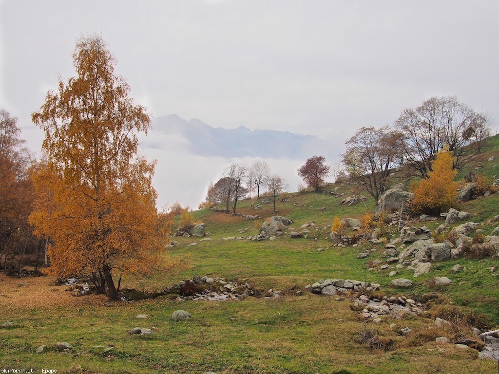 109075-mombarone-autunno-pb013325.jpg