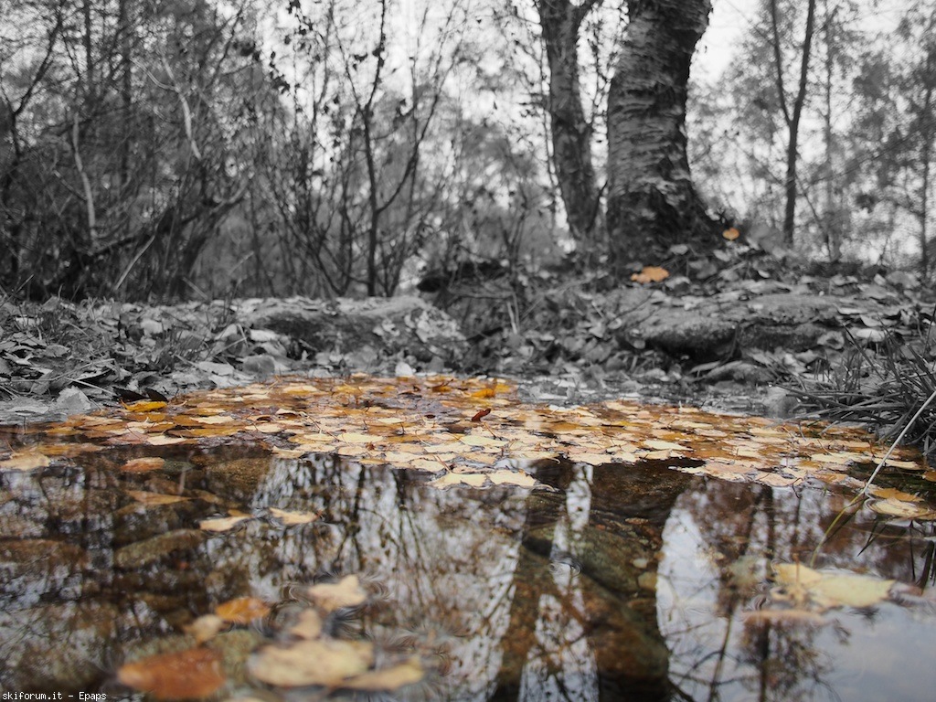 109076-mombarone-autunno-pb013338.jpg