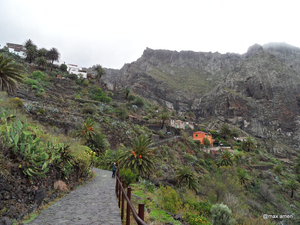 112281-tenerife-sam2492.jpg