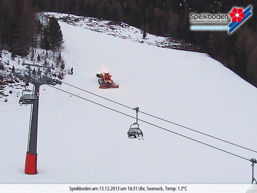 112708-webcam-gatti-delle-nevi-dicembre-2013-gatto-speikboden.jpg