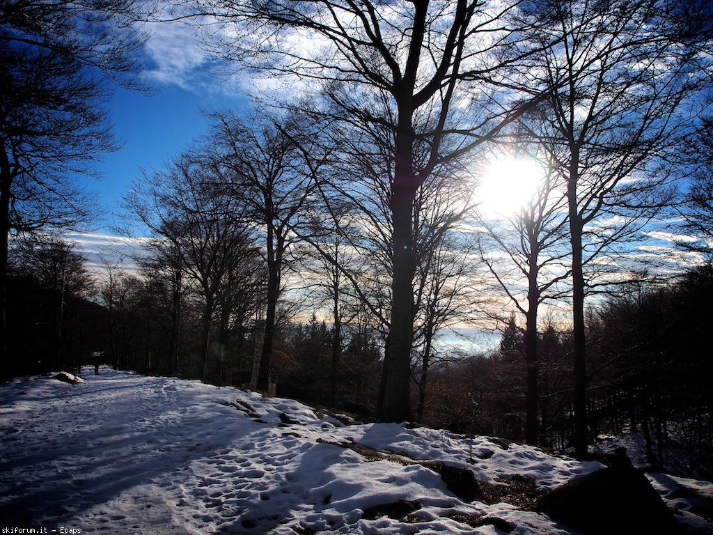 113006-monte-mucrone-pc153602.jpg
