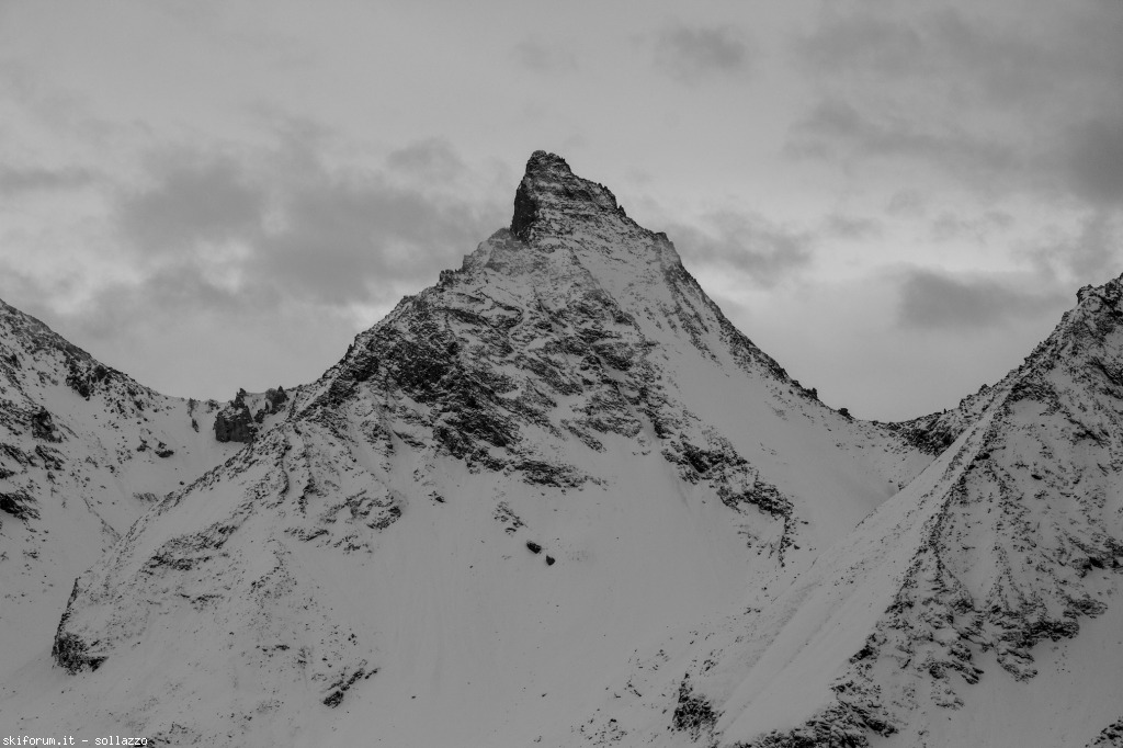 114365-img1254.jpg