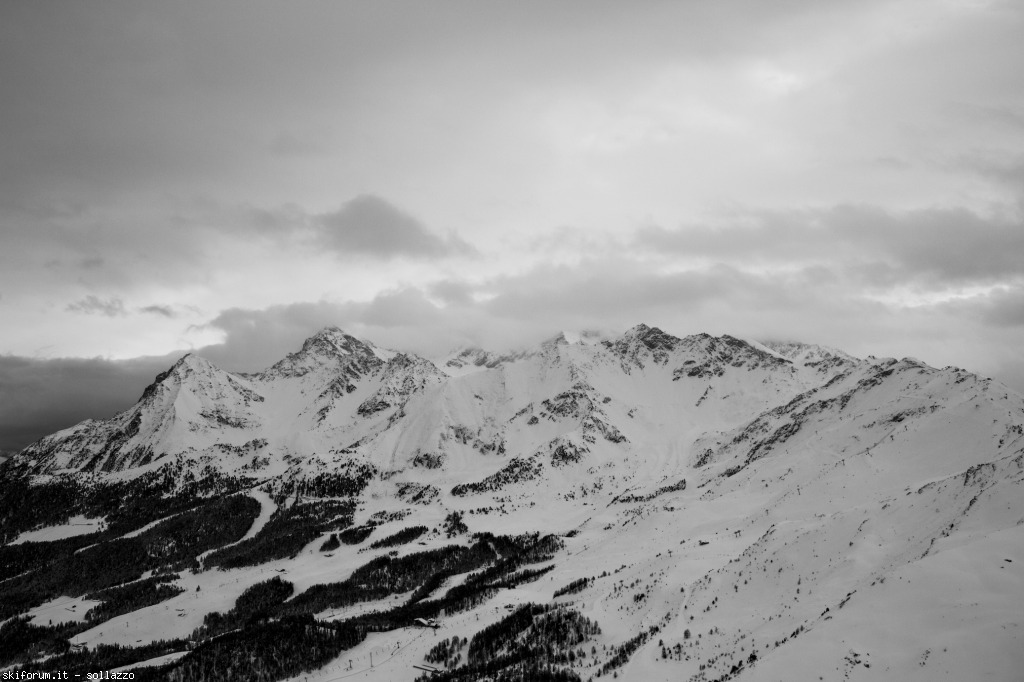 114366-img1257.jpg