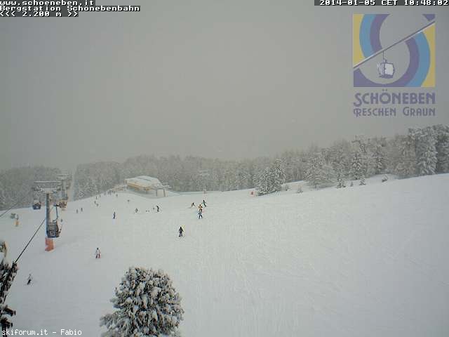 114434-nevicate-5-gennaio-2014-175.jpg