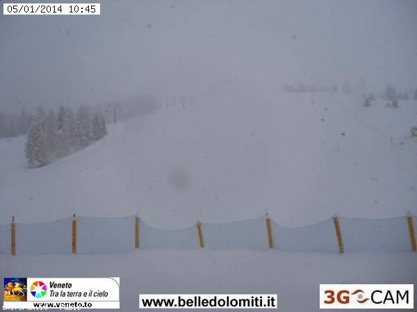 114437-colgallina.jpg