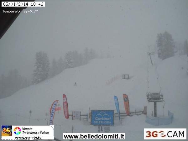 114440-faloria.jpg