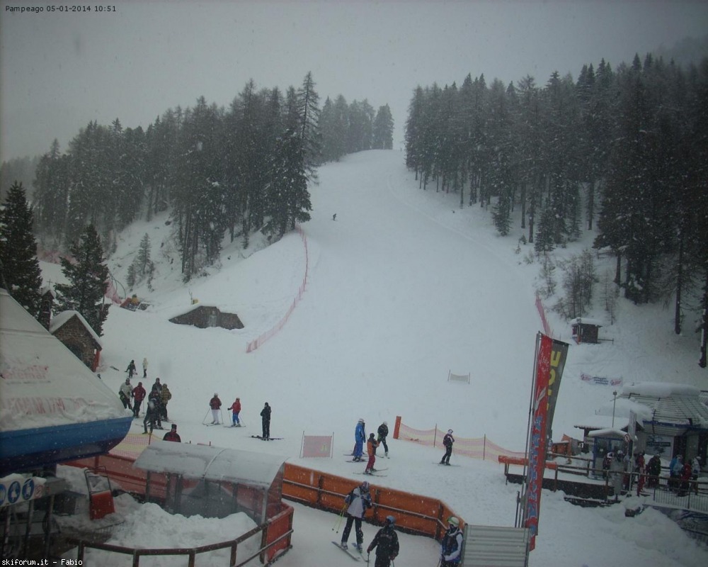 114449-pampeago1.jpg