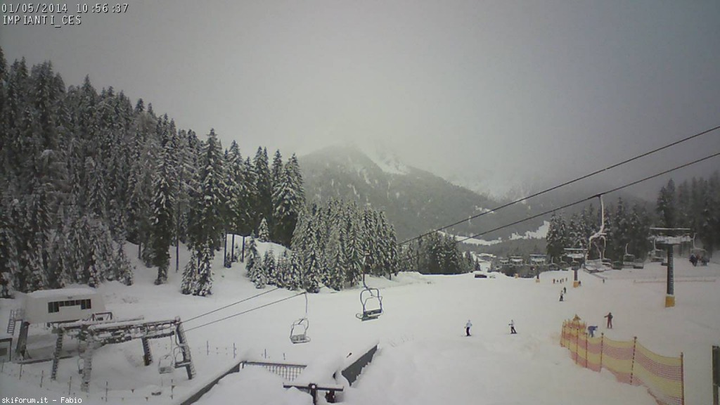 114453-pntaces.jpg