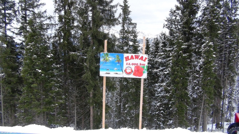 116401-skiweltelmaugoing-dsc010441126.jpg