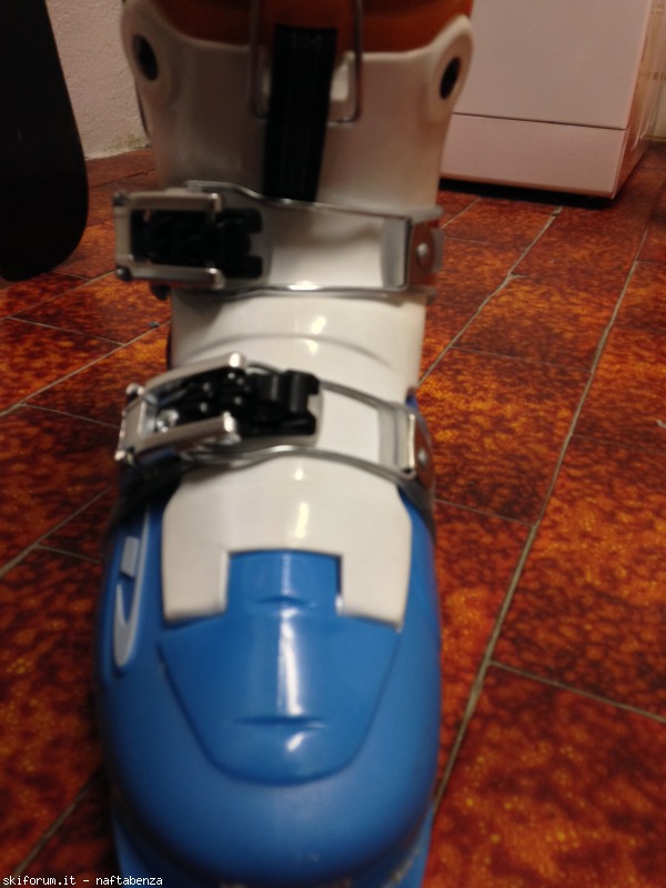 116750-dalbello-virus-img2795.jpg