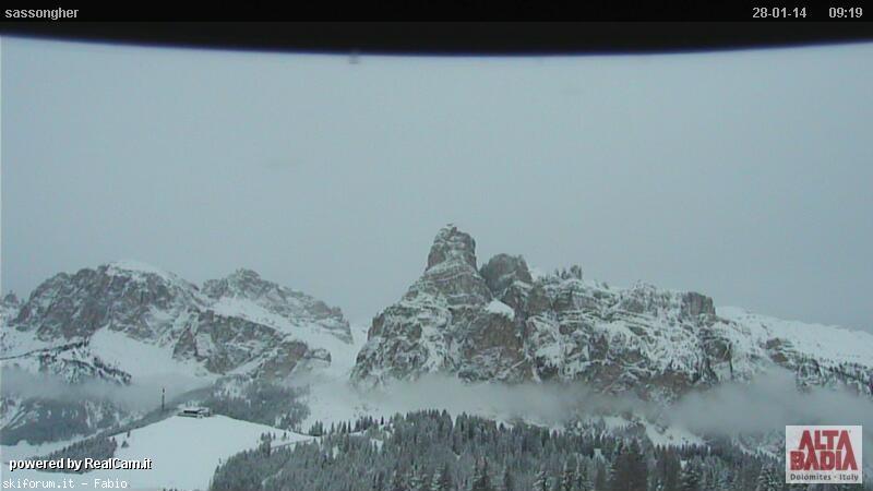 117141-neve-webcam-28-gennaio2014-33-2-460.jpg