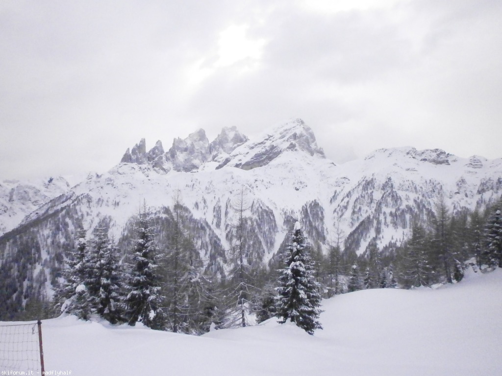 117214-falcade-gennaio-2014-01-p1241631.jpg
