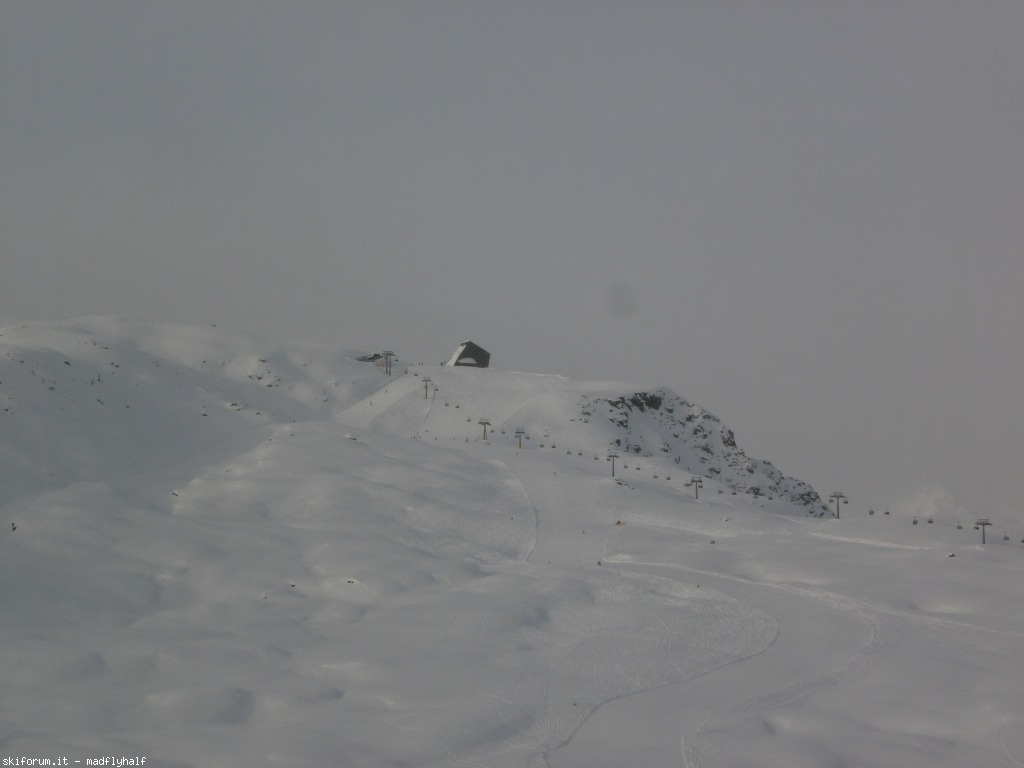 117217-falcade-gennaio-2014-01-p1241640.jpg