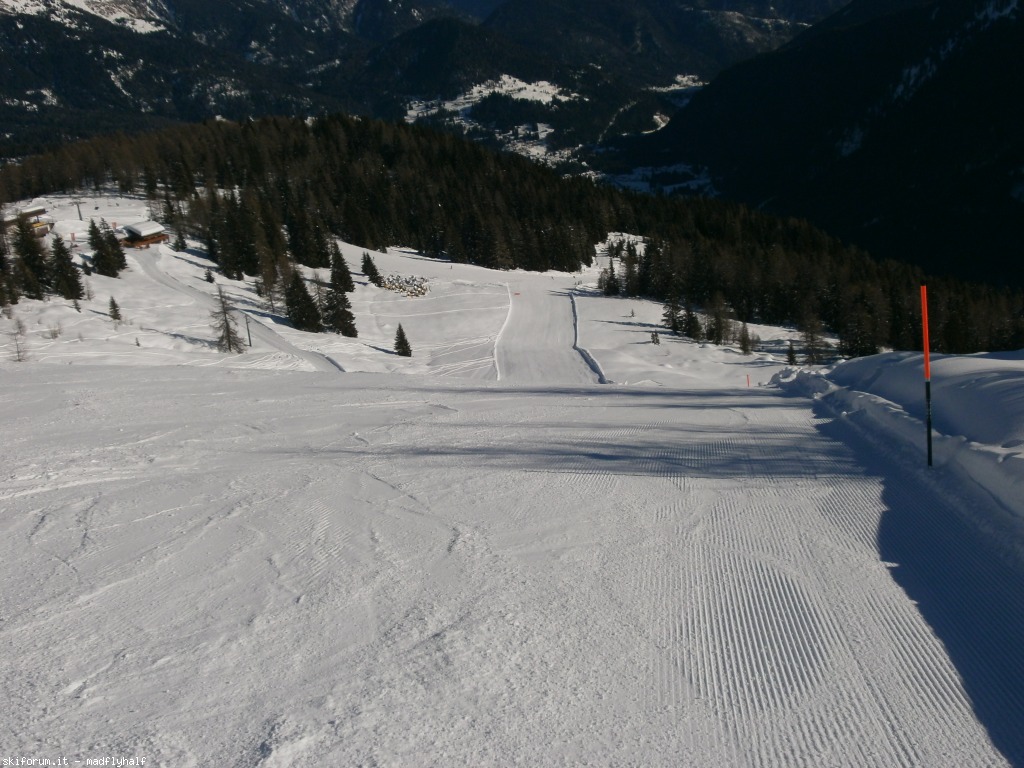 117222-falcade-gennaio-2014-01-p1251665.jpg