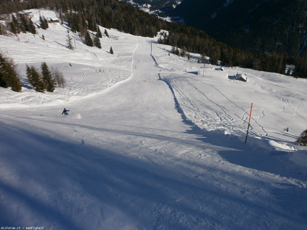 117240-falcade-gennaio-2014-02-p1251698.jpg