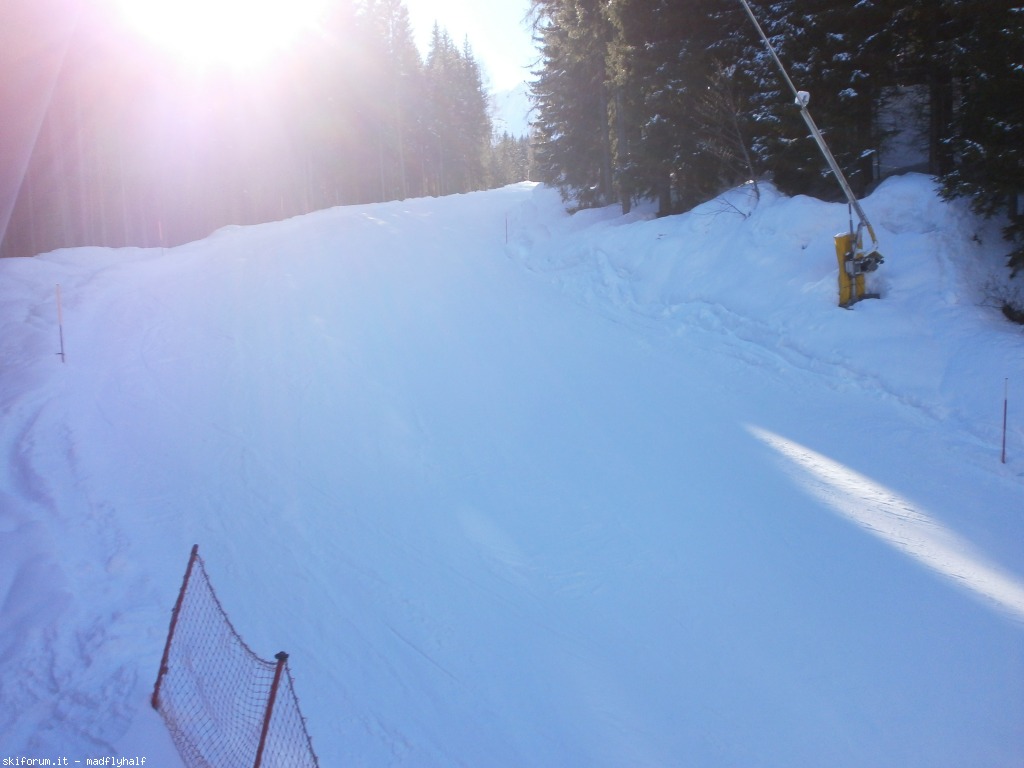 117241-falcade-gennaio-2014-02-p1251703.jpg