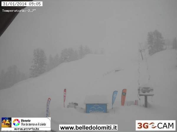 117642-faloria.jpg
