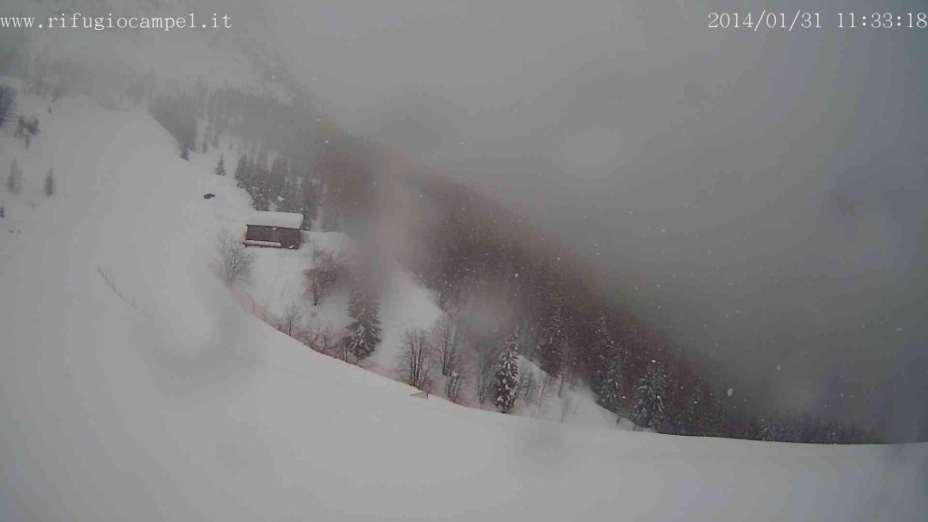 117681-webcam-31-gennaio-2014-a-campel03.jpg