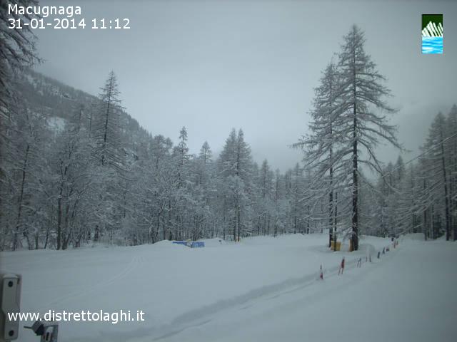 117695-webcam-31-gennaio-2014-a-macu04.jpg