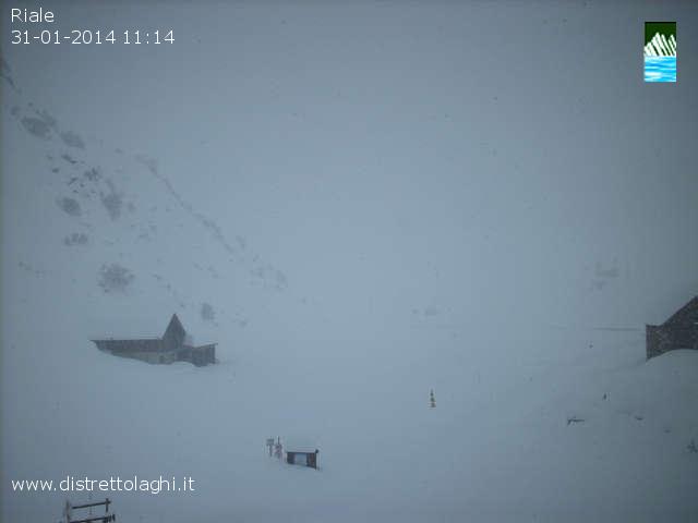 117707-nevicate-31-gennaio-2014-b-riale03.jpg