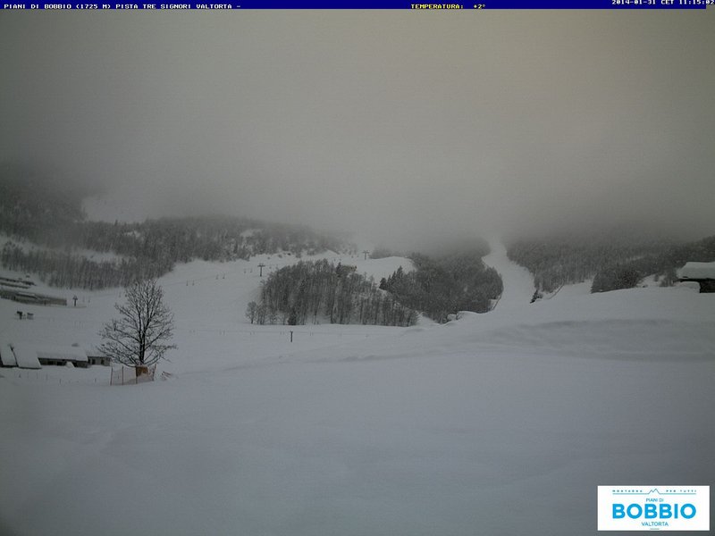 117714-nevicate-31-gennaio-2014-b-valtorta02.jpg
