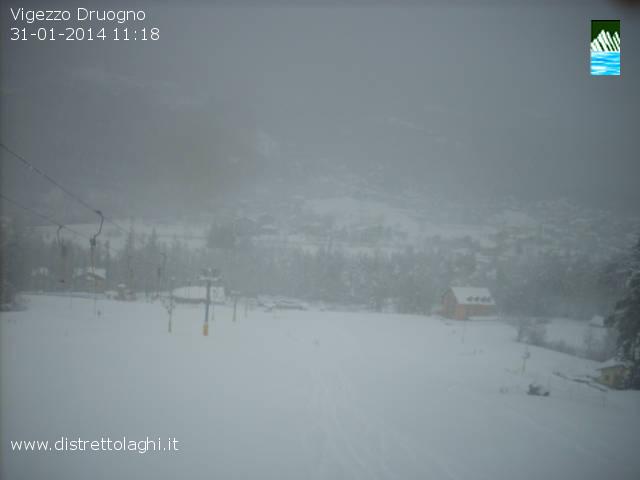 117717-vigezzodruogno02.jpg