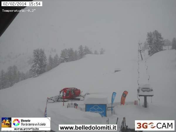 117873-faloria.jpg