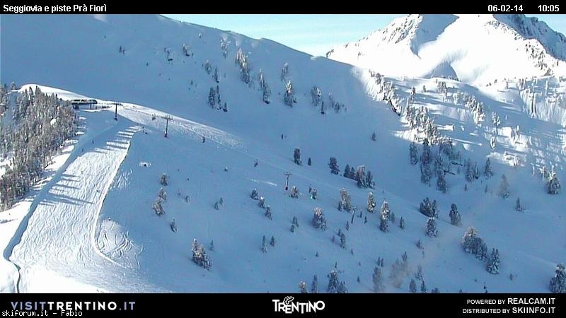 118442-webcam-neve-06-febbraio-2014-22-5.jpg