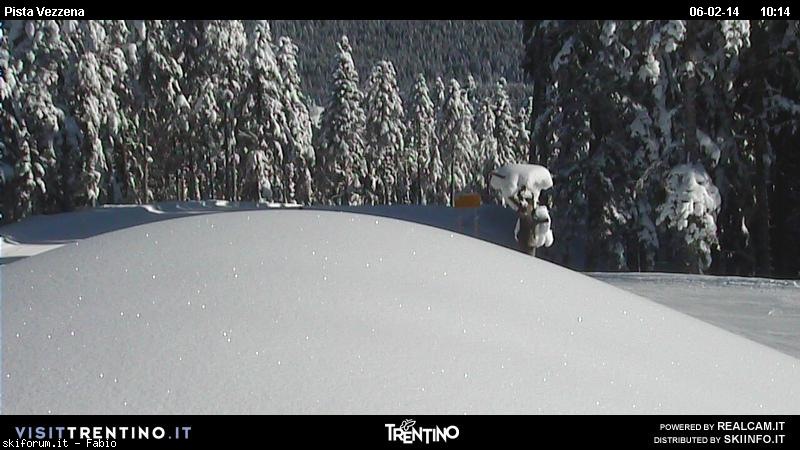 118452-webcam-neve-06-febbraio-2014-29-6.jpg