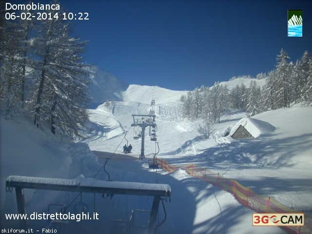 118499-domobianca.jpg