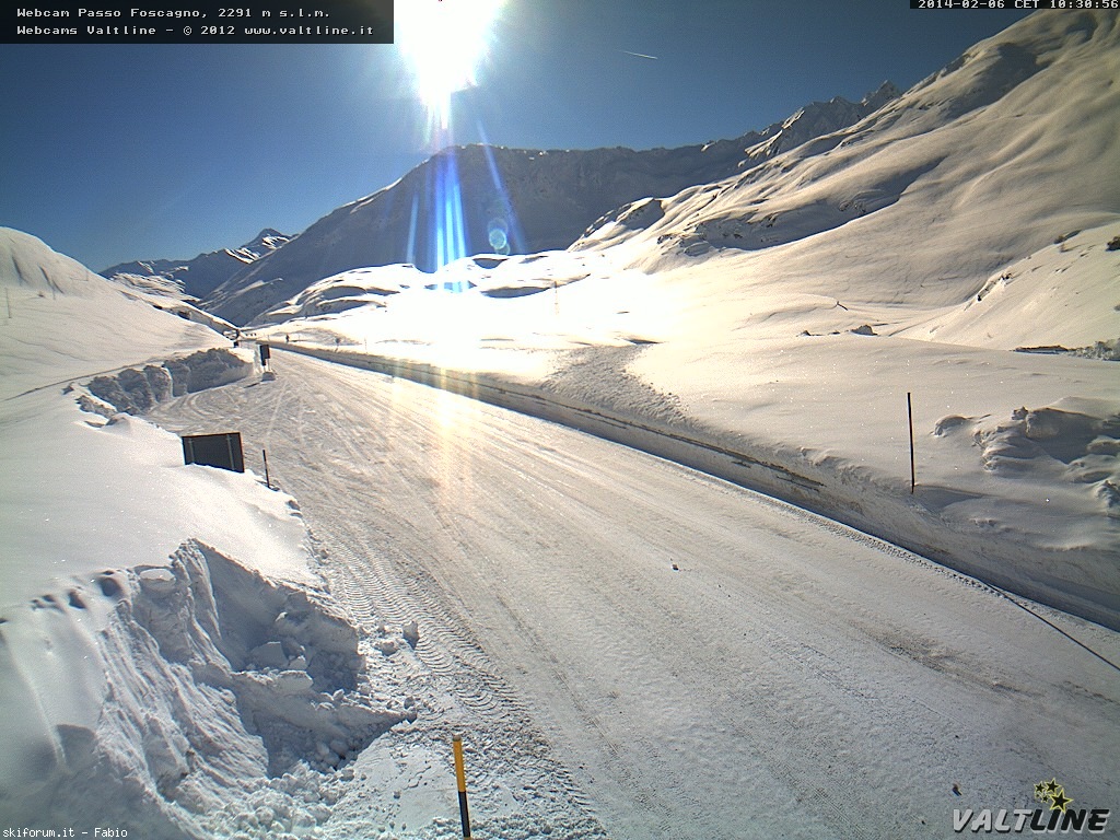118505-foscagno.jpg