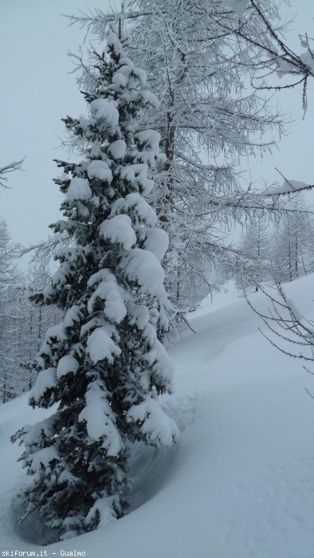 118941-la-thuile-p1040576.jpg