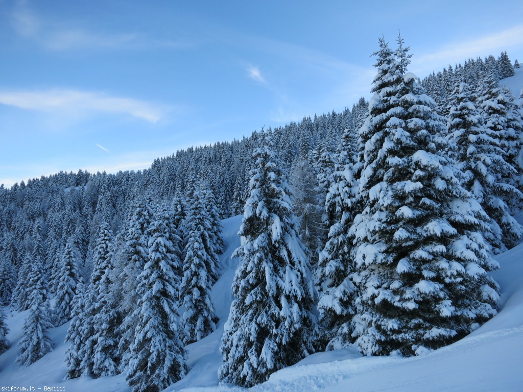 119145-pora-img3233.jpg