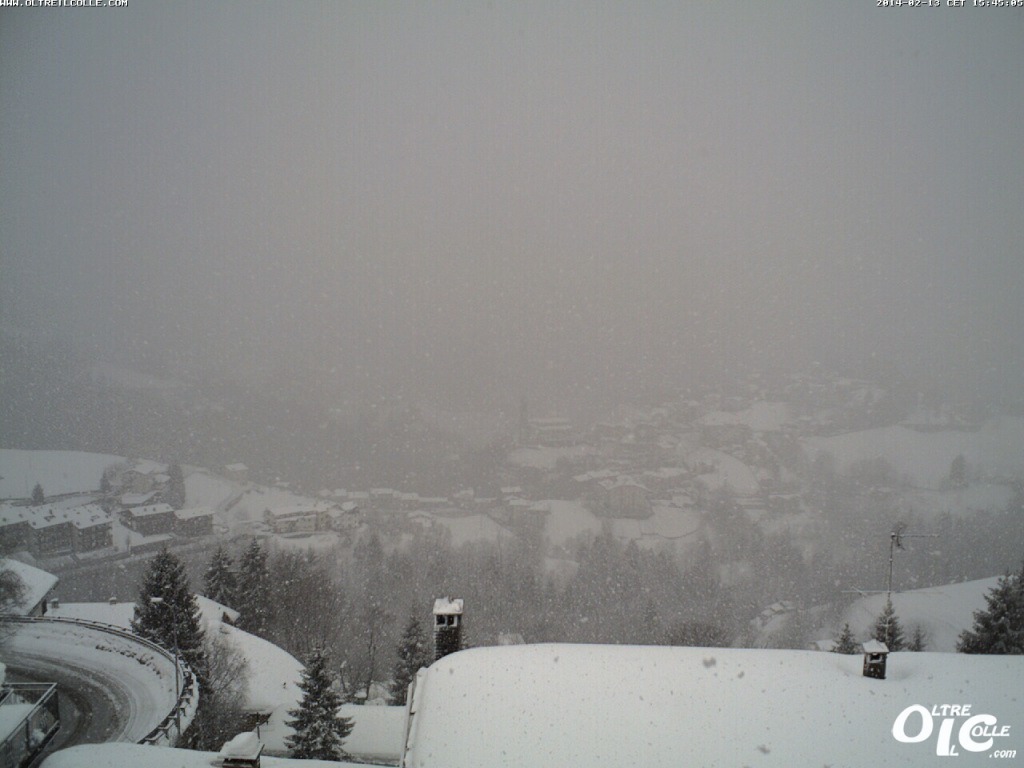 119316-zambla01.jpg