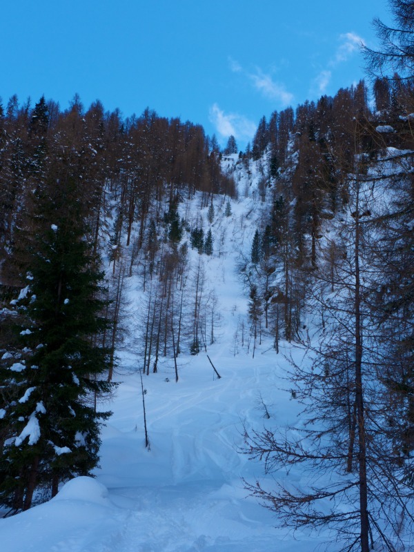 119747-p1010733-2014-02-15-at-17-27-20.jpg