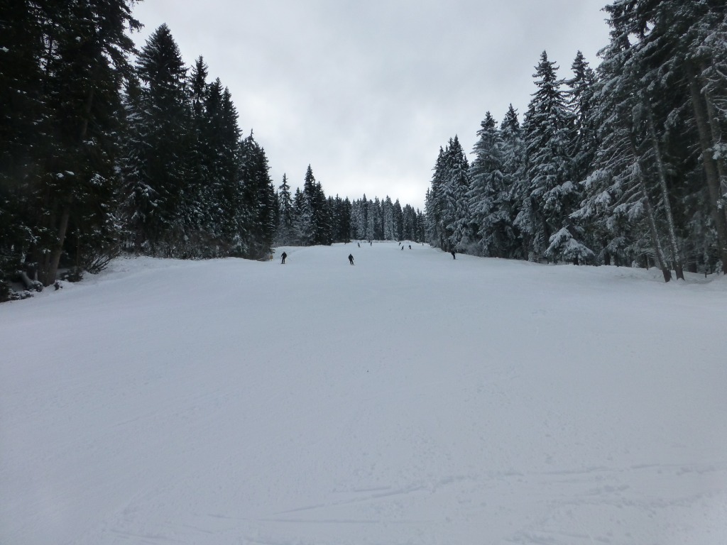 119809-p1000743.jpg