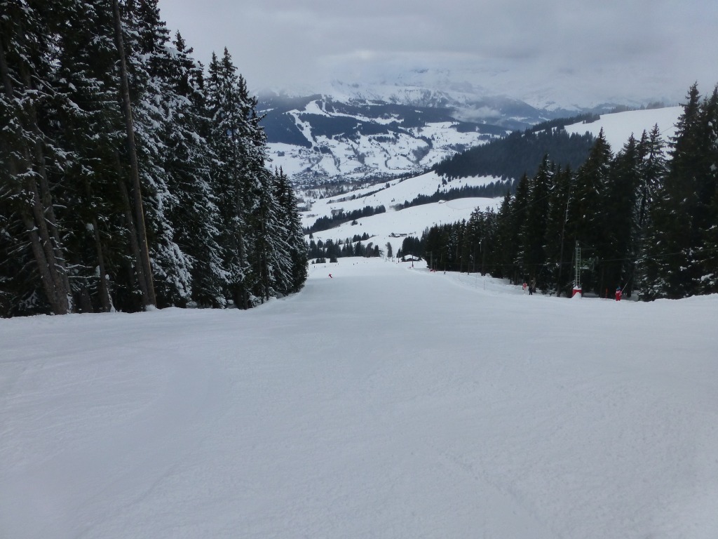 119814-p1000774.jpg