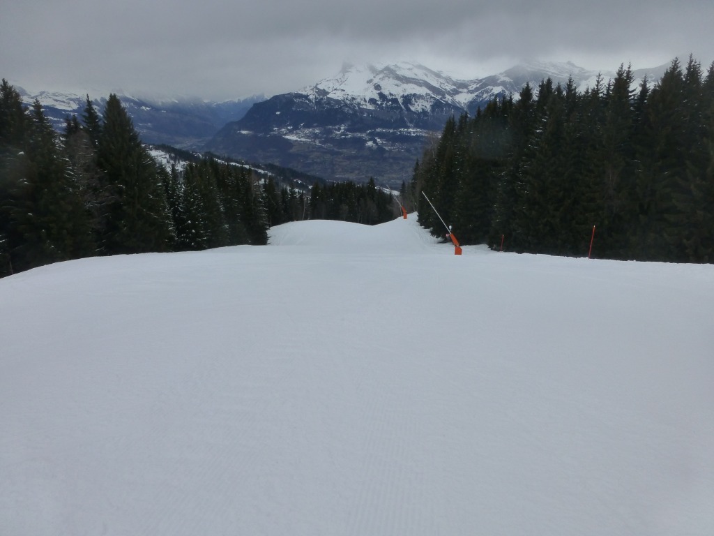 119818-p1000808.jpg