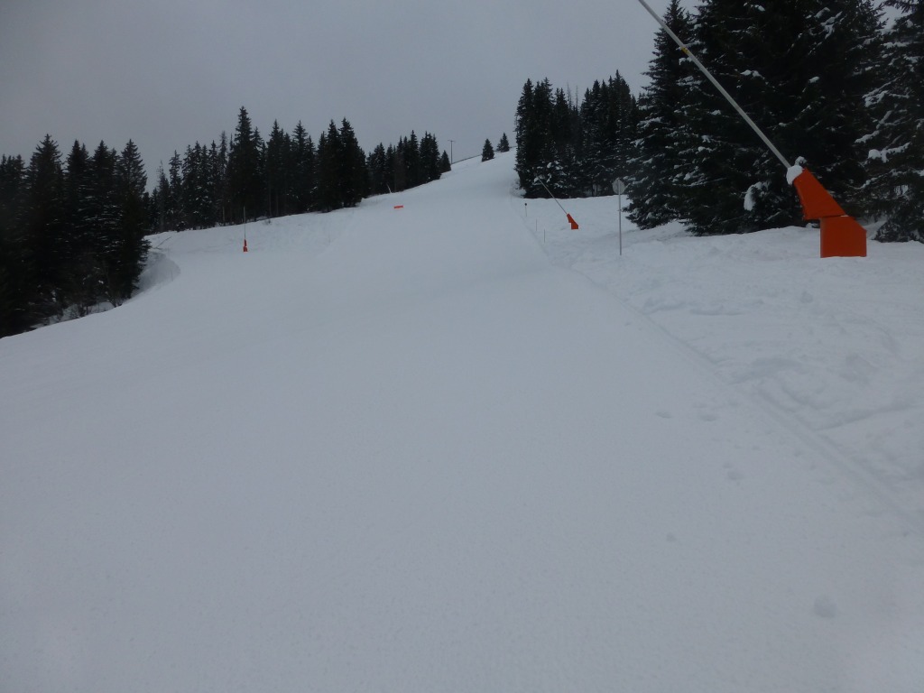 119819-p1000819.jpg