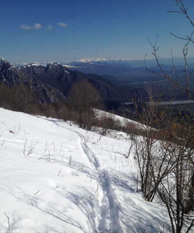 120644-pala-d-altei-pd5.jpg