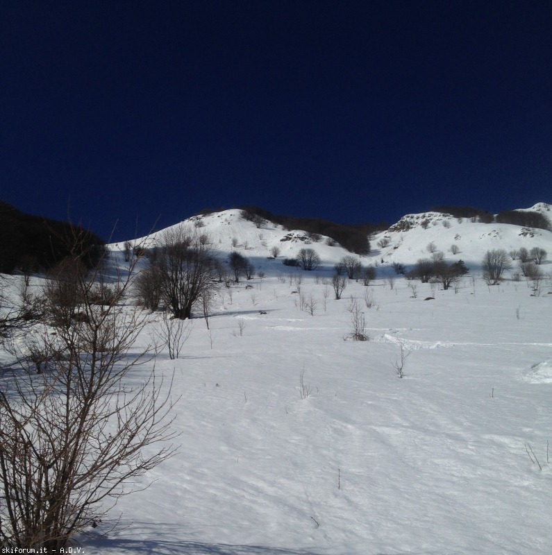 120647-pala-d-altei-pd8.jpg