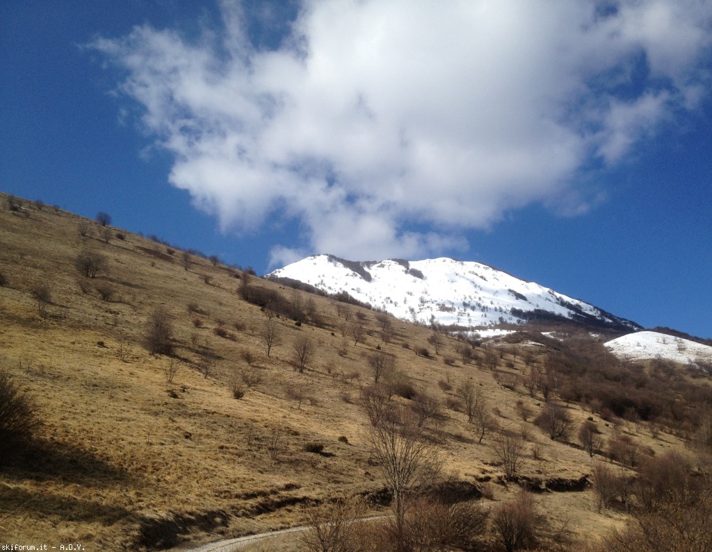 120648-pala-d-altei-pd9.jpg