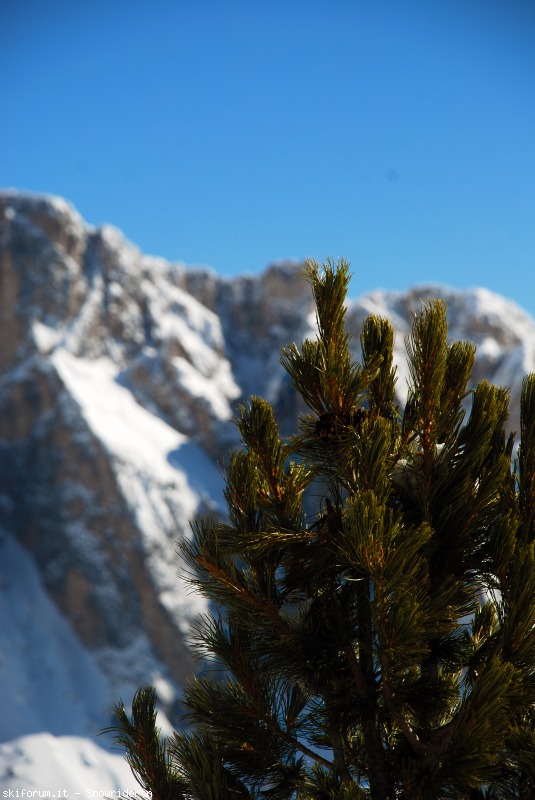121691-paradiso-di-dolomia-1-03-8-03-dsc7866.jpg