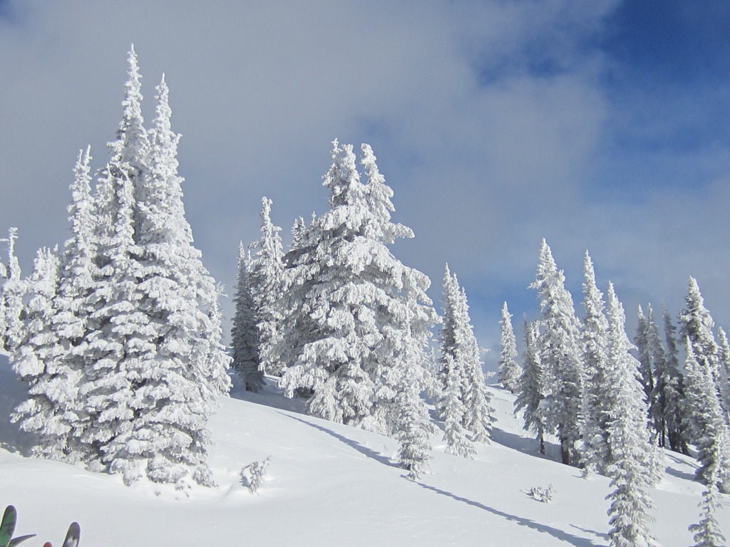 122248-k3--k3-cat-ski-068.jpg