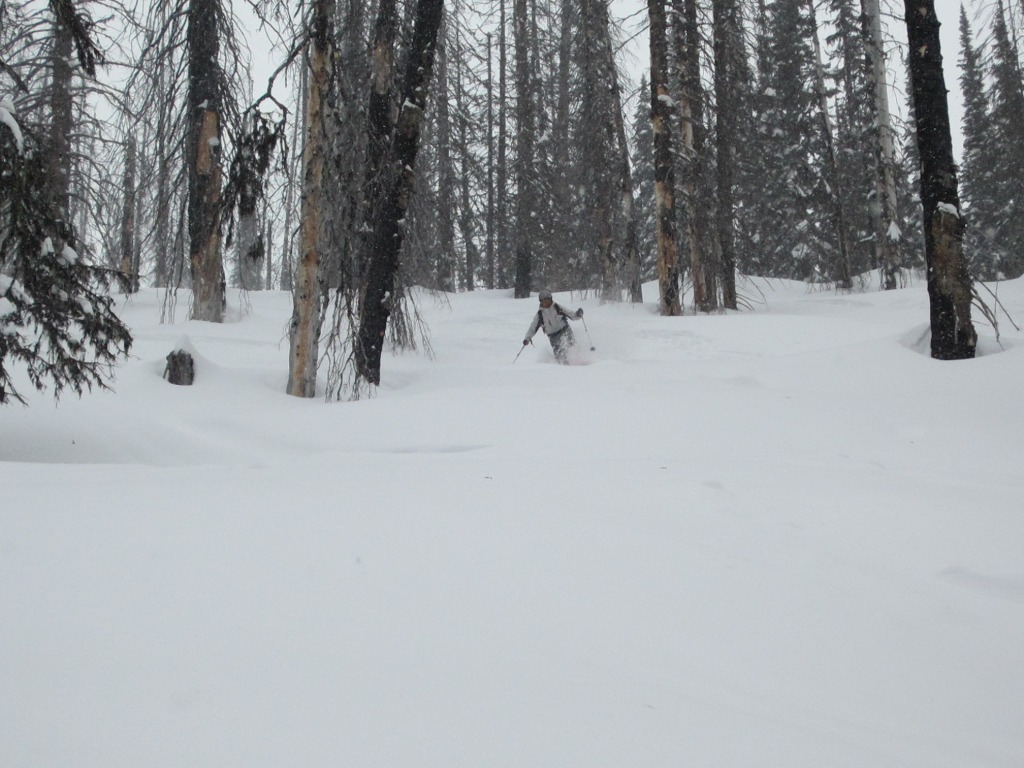 122251-k3--k3-cat-ski-101.jpg